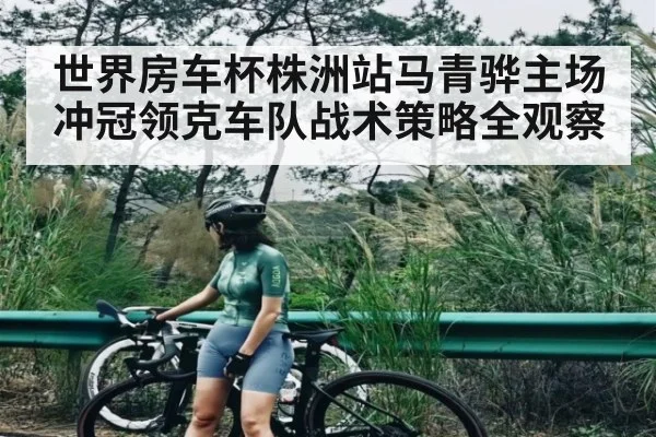 世界房车杯株洲站马青骅主场冲冠领克车队战术策略全观察